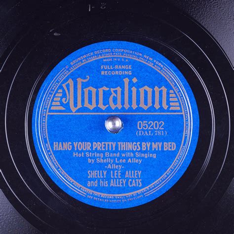 Hang Your Pretty Things By My Bed : Shelly Lee Alley and his Alley Cats