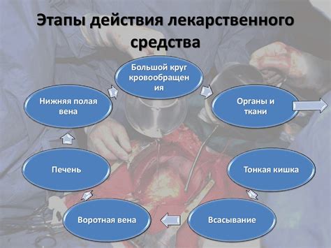Пути введения лекарственных средств - презентация онлайн