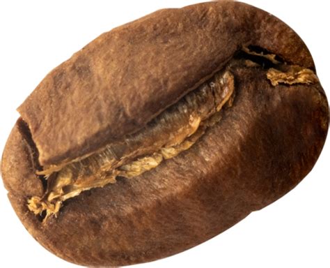 Coffee Beans Isolated On Transparent Background PNGs for Free Download