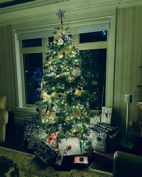 Ellie Harvie (@ellieharvie) • Instagram photos and videos