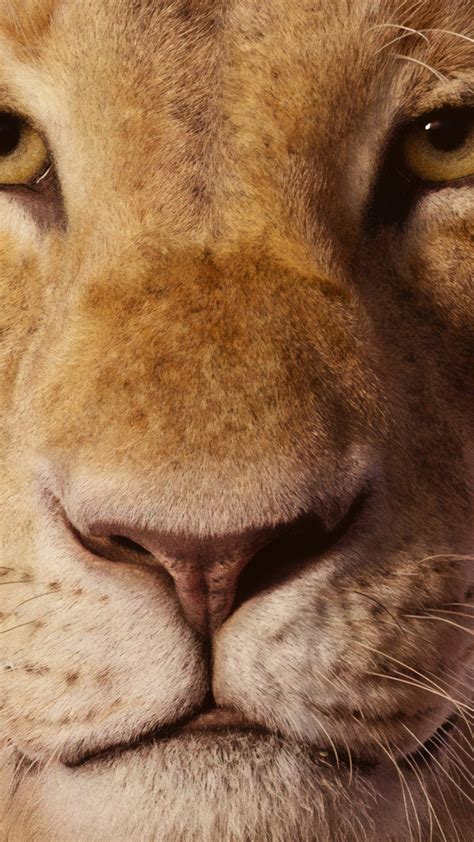 Beyonce As Nala The Lion King 2019 4k, HD Wallpaper | Rare Gallery