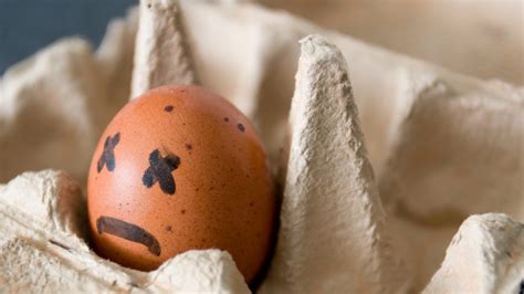 26 Warning Signs That Eggs Are No Longer Safe To Eat