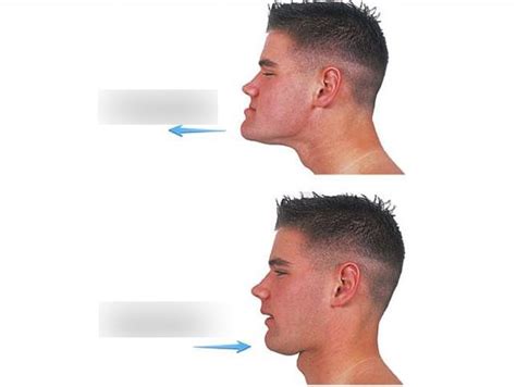 protraction  retraction diagram quizlet