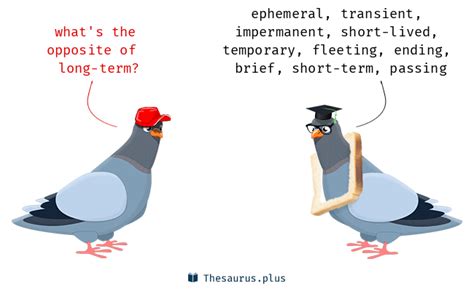 Long-term Synonyms and Long-term Antonyms. Similar and opposite words ...