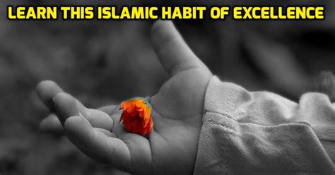 Charity in Islam and Forms of Charity – Prophet Hadith | IqraSense.com
