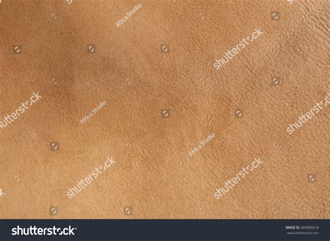 Beige Leather Texture Background Stock Photo 369905618 | Shutterstock