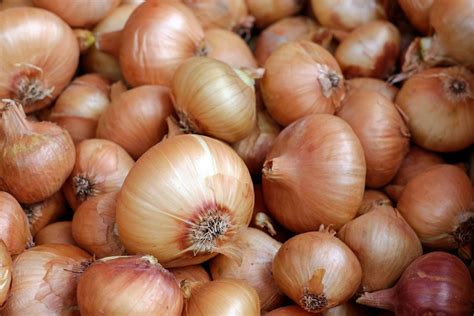 How to Make the Best Mirepoix Recipe: An Easy Guide