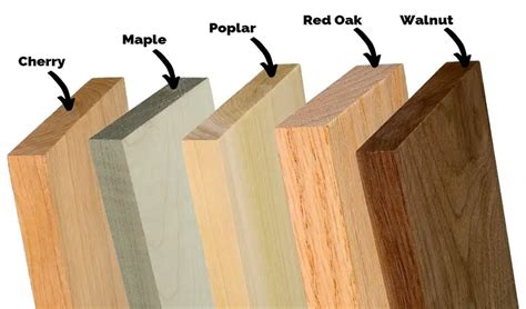 types  wood