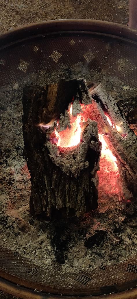 The hottest hole for grilling meat : r/dontputyourdickinthat