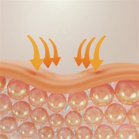 embracing elasticity exploring  elastin market