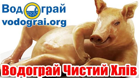 Доказательства преимуществ глубокой подстилки Водограй Чистый Хлев ...