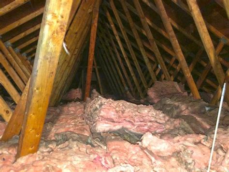 Attic Insulation - Removing Squirrel Droppings & Insulating Attic in ...