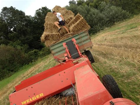 Bale slame