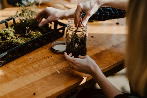 Plan Your Stay — Hemlock Neversink