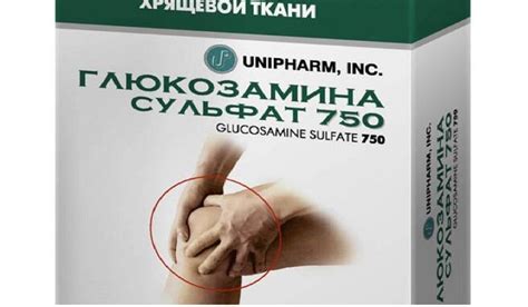 Глюкозамина сульфат и гидрохлорид: что это такое и что лучше ...