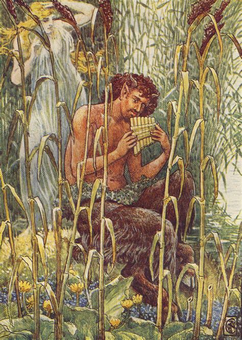 Deus Da Floresta