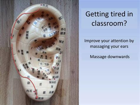 Auricular Acupuncture | PPTX
