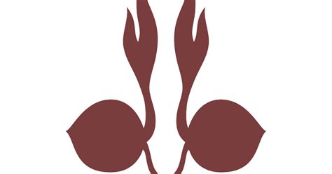logo pramuka tunas kelapa