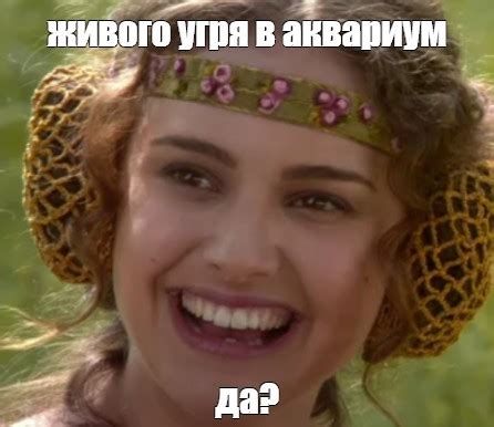 Meme: "живого угря в аквариум да?" - All Templates - Meme-arsenal.com