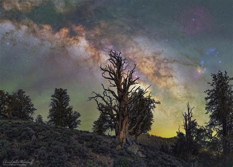 Self timer shot of me, nude under the stars as the perseid meteor