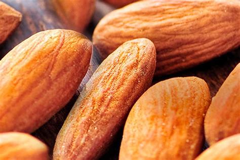 warna almond   simbolnextcom