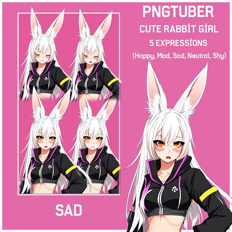 PNGTUBER Cute Bunny Girl Vtuber 5 Expressions Premade Streamer Female