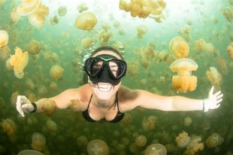 6 Interesting Facts About Jellyfish Lake in Palau