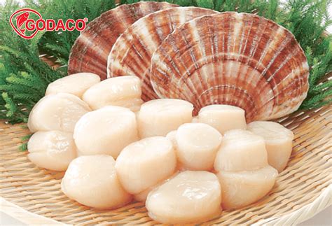 Scallops - Godaco Seafood