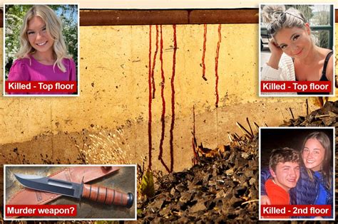 university  idaho murders update