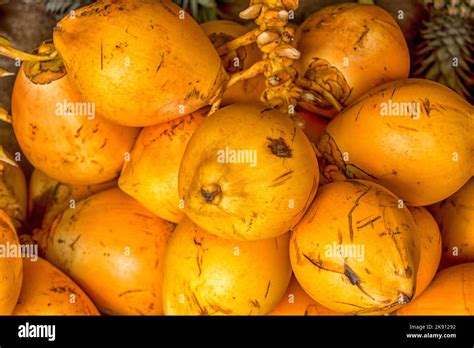 Fruits of Sri Lanka Stock Photo - Alamy