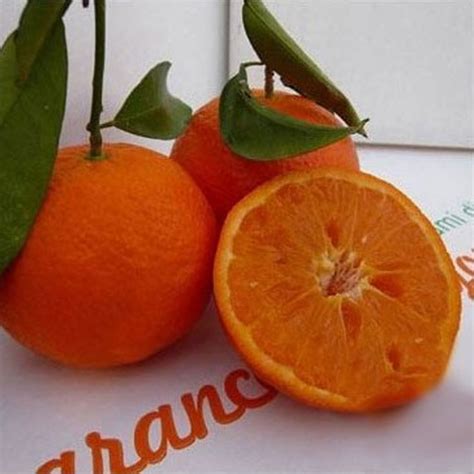 Mandarino Nova IGP - Arance di Palagonia