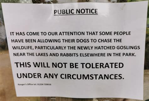 These dog owners : r/iamatotalpieceofshit