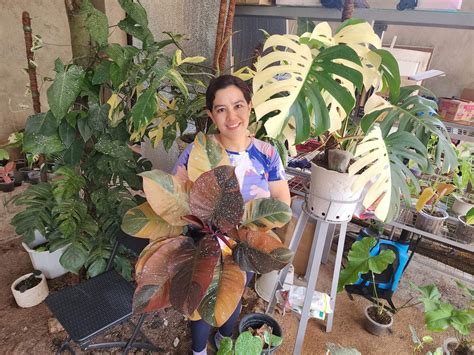 Julie Grace Gomgom O