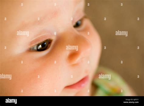 portrait  baby girl   months  stock photo alamy