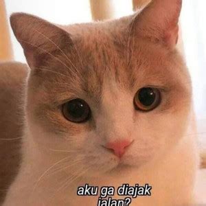 berwisata playlist  rasajeruk spotify