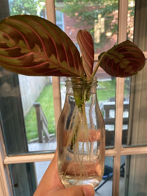 propagation update propagation