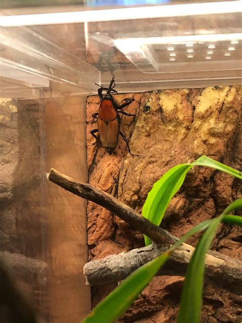 Students are complaining about the TAMU undergraduate catalog layout 6