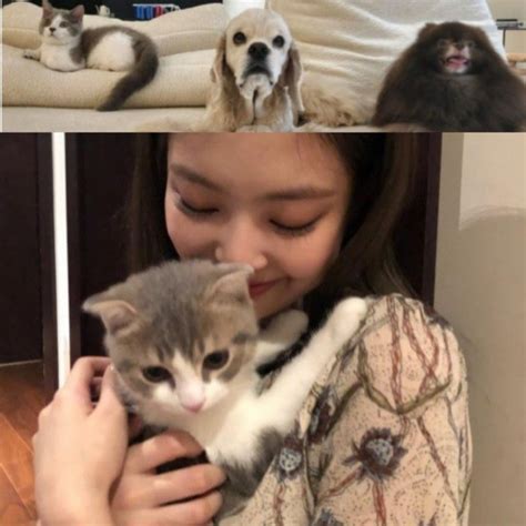 Jenns Goes Unfiltered Her Most Vulnerable Moments Shock Everyone news