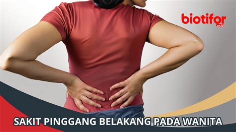 sakit pinggang belakang  wanita  mengatasinya biotifor