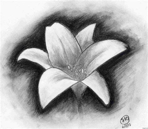 Shaded Flower Drawing at PaintingValley.com | Explore collection of ...
