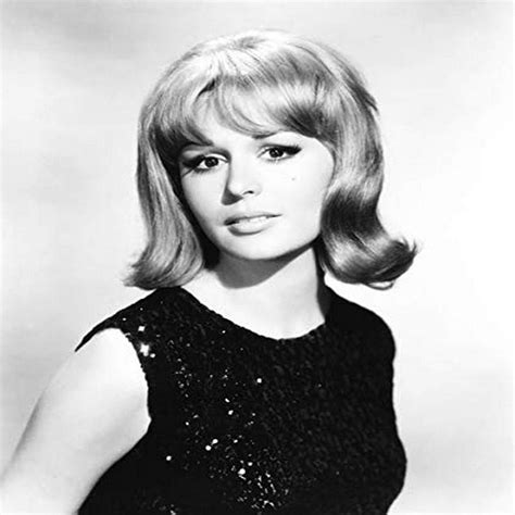 Amazon.com: Posterazzi Red Line 7000 Marianna Hill 1965 Photo Poster