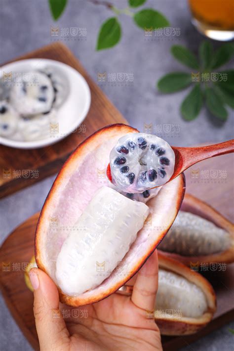 八月瓜图片下载,生鲜素材,美食图片,八月瓜设计作品下载,八月瓜素材下载 - 搬图猫