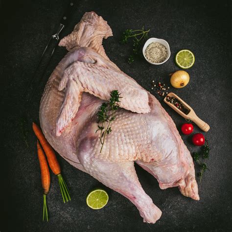 ograda verde curcan de tara proaspat cel mai bun pret