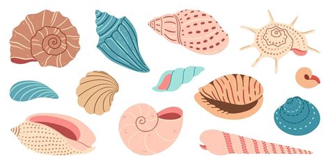 sea shell cartoon set ocean exotic underwater seashell conch aquatic