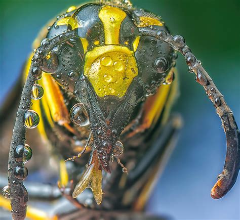 Amateur+Big+Breast Photos, Download The BEST Free Amateur+Big+Breast