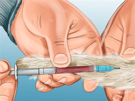 How To Treat A Cat Bite - We did not find results for: - Jziqdwipmr