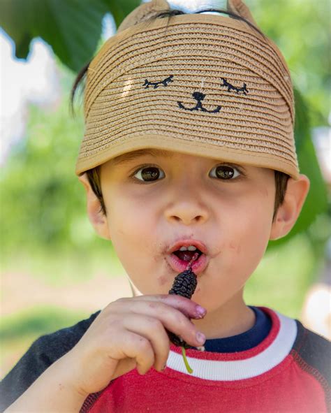 Very Mulberry by... - Very Mulberry by Habitera Farms