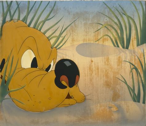 pluto  ant   film  beach picnic buffalo akg art museum