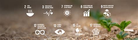 Sustainability at Väderstad | Väderstad