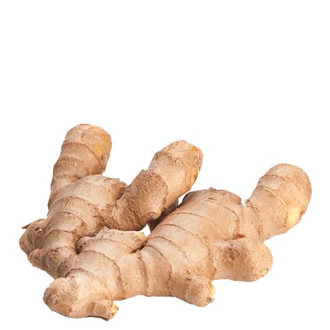 ginger  transparent background  png